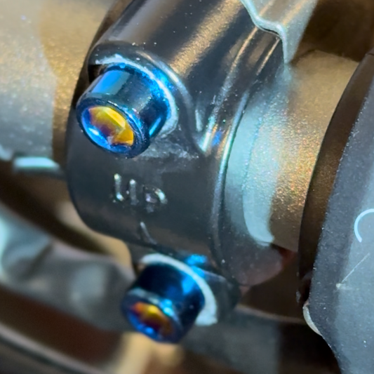 Ultra Bee Brake Titanium Bolts (set of 4)